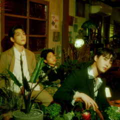데이식스